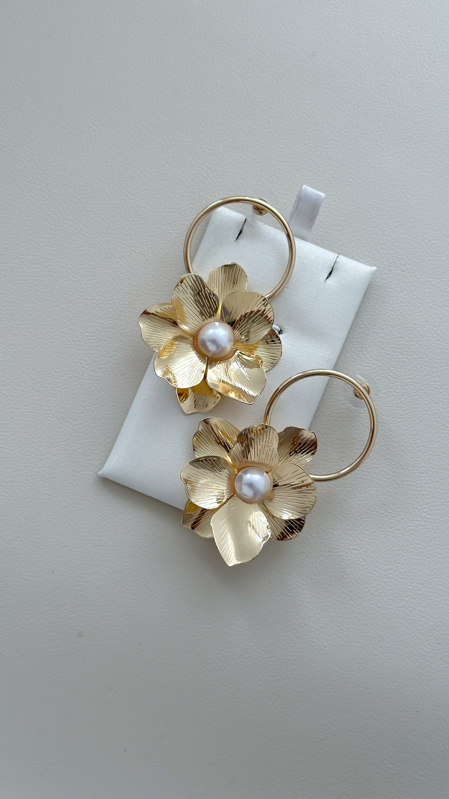 Aretes largos