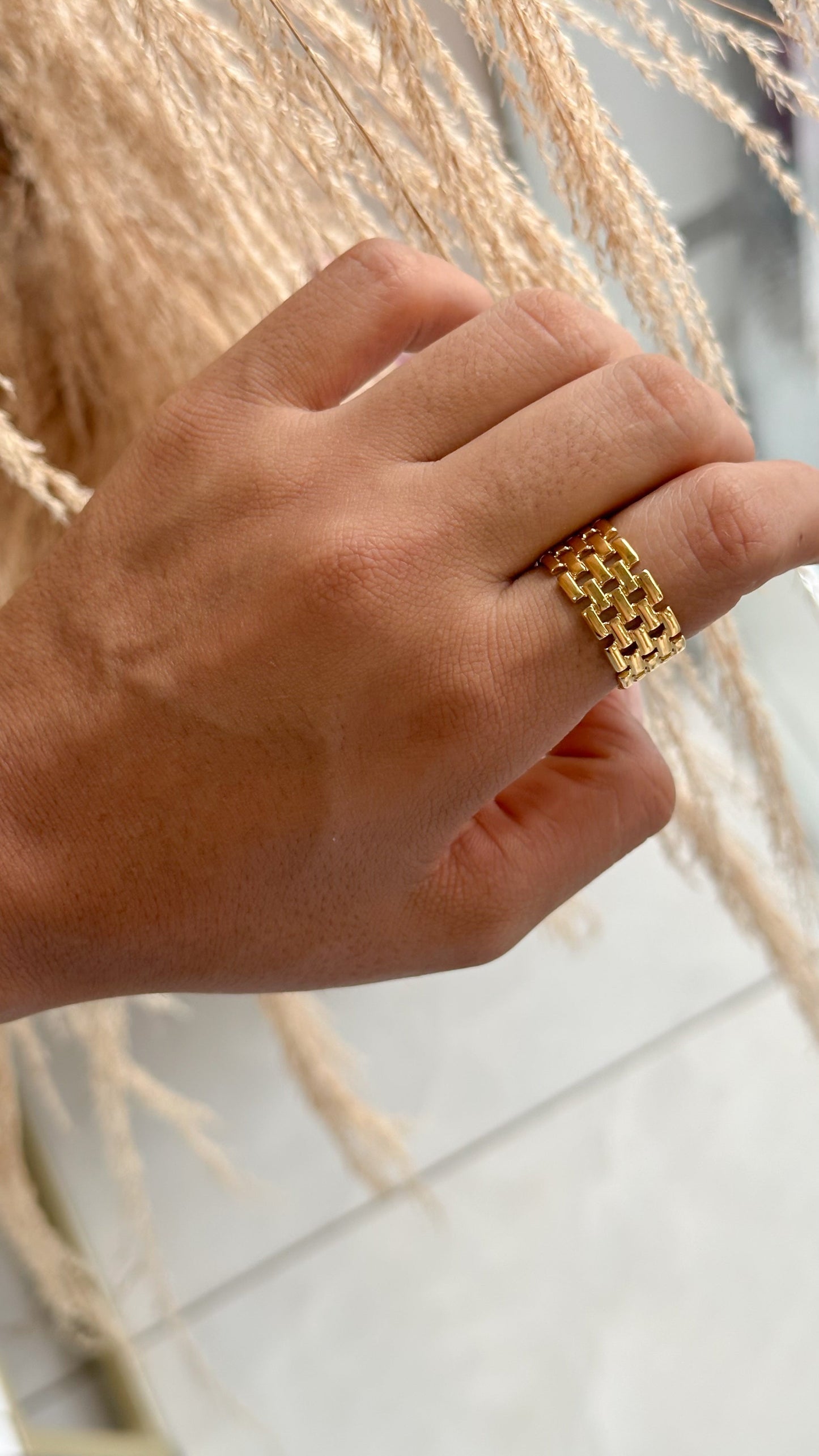 Anillo