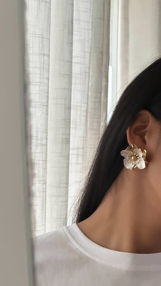 Aretes matizados