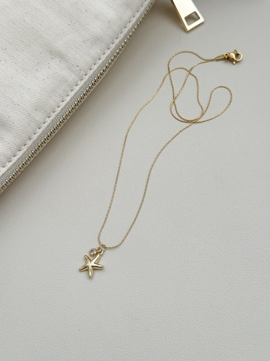 Estrella de mar liso + punto de mi