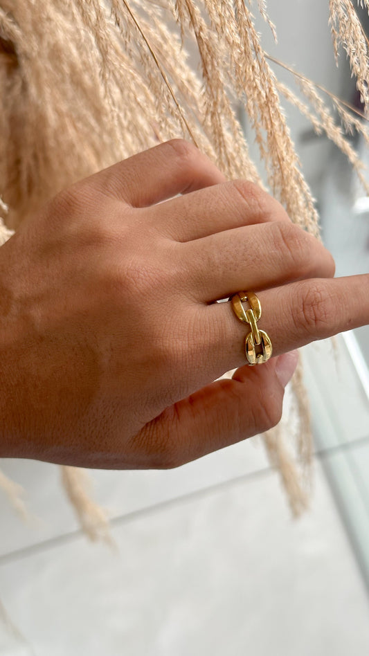 Anillo