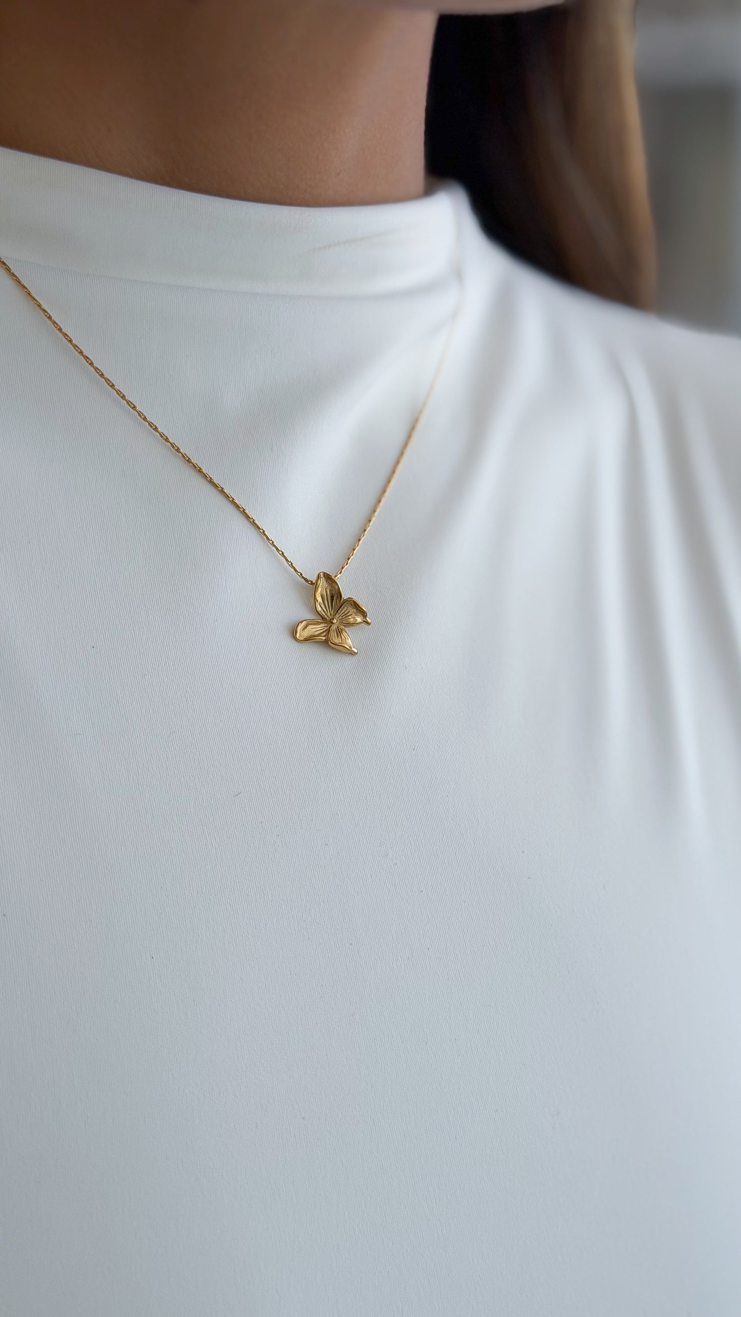 Mariposa dorado