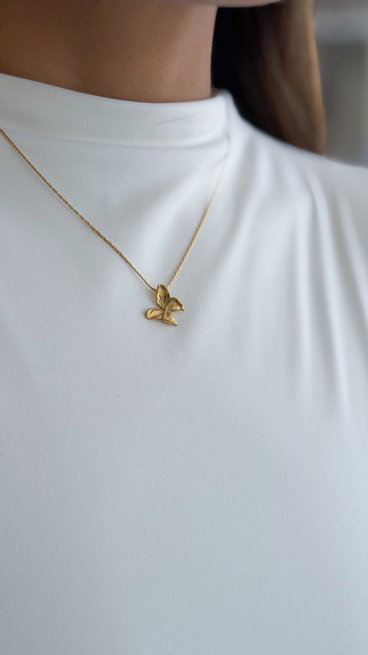 Mariposa dorado