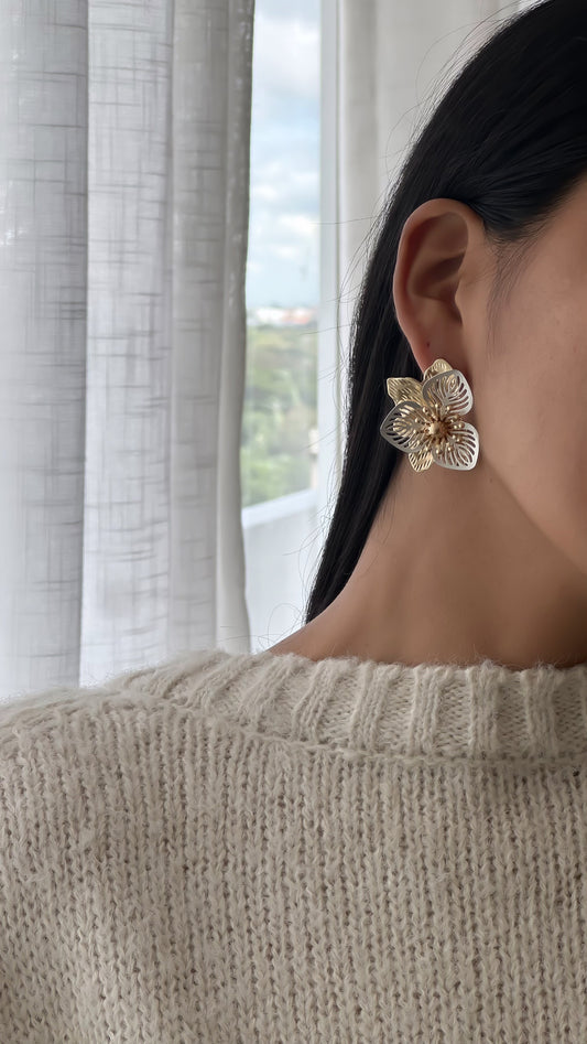 Aretes matizados