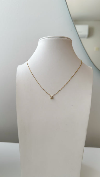 Cadneita estrella mini