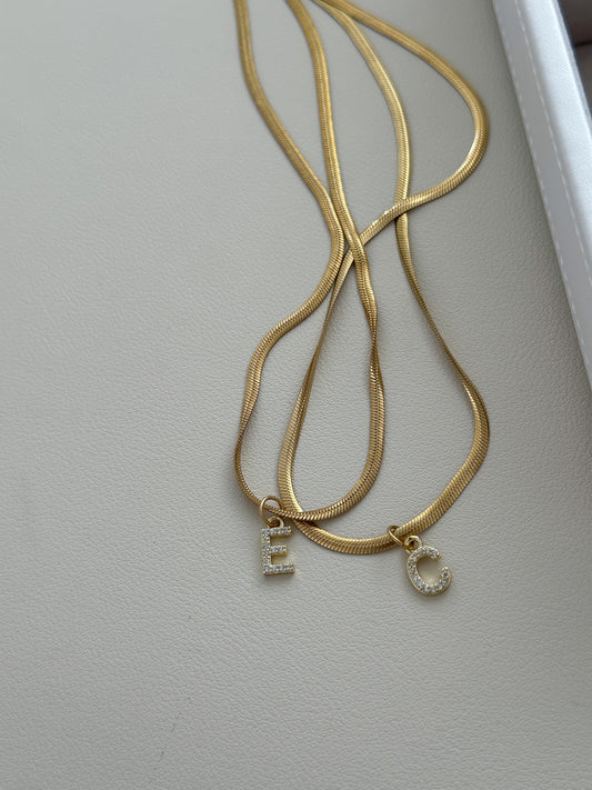Cadneita plana + Inicial