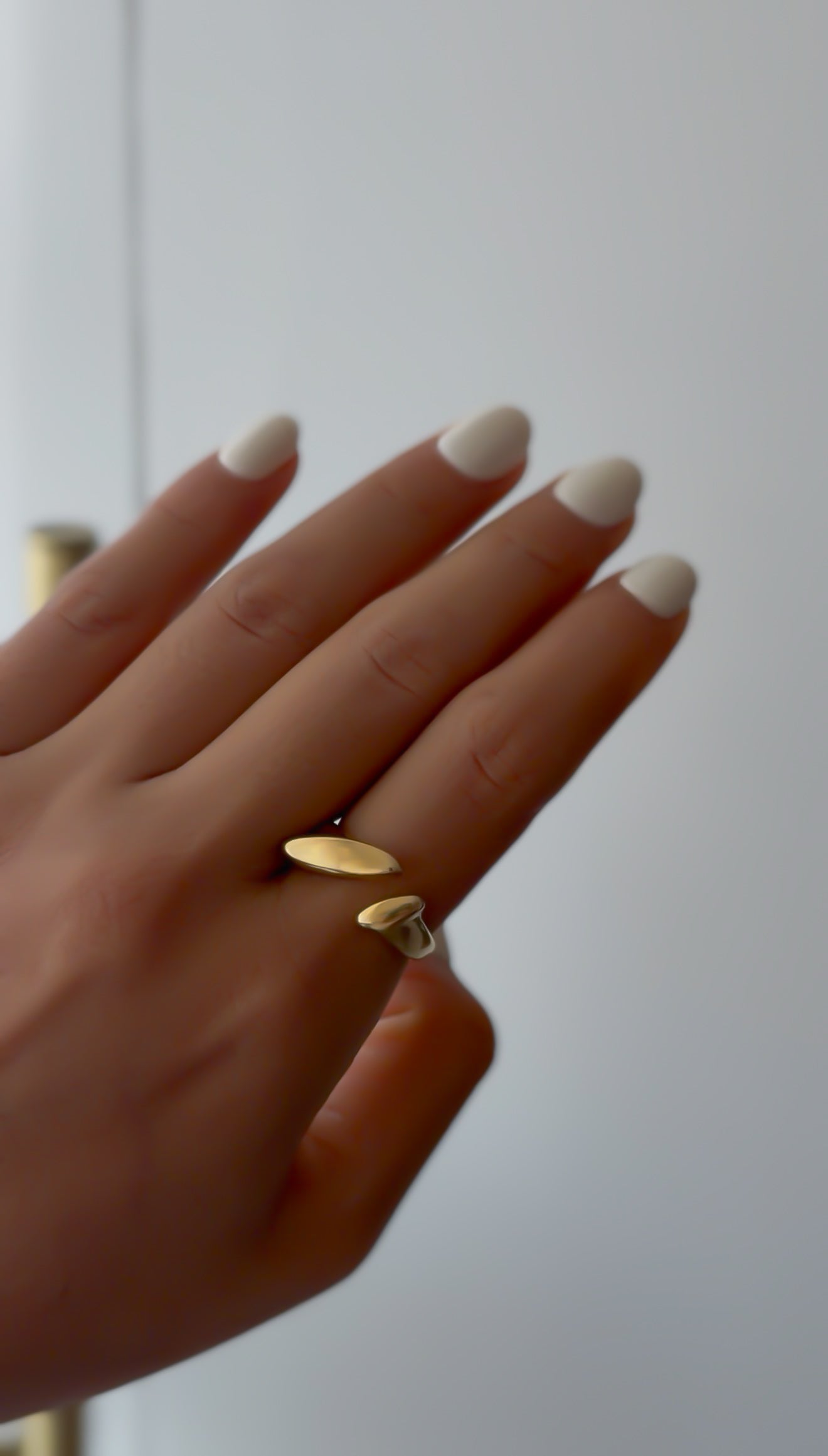 Anillo