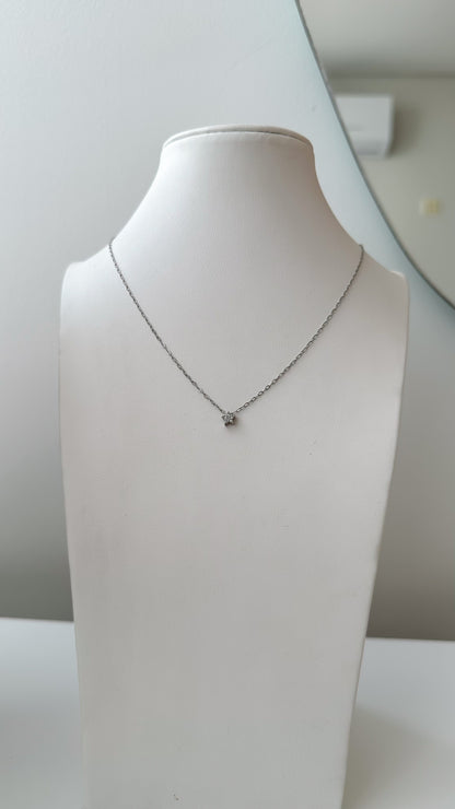 Cadneita estrella mini