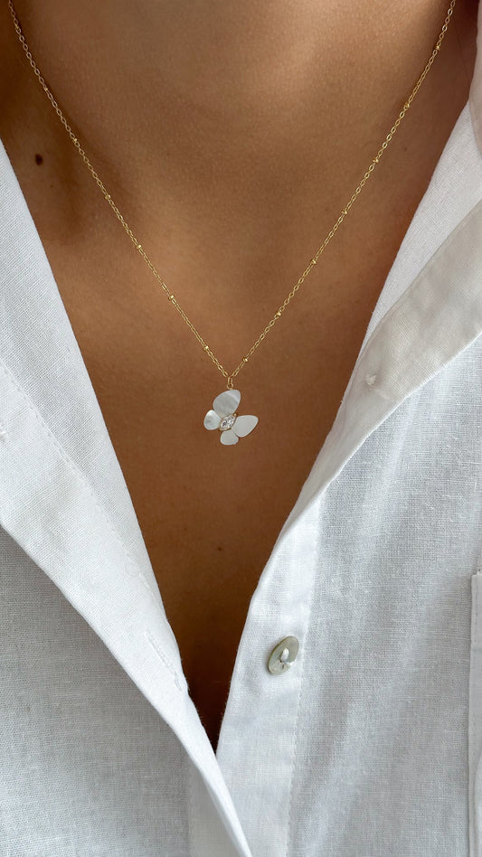 Mariposa