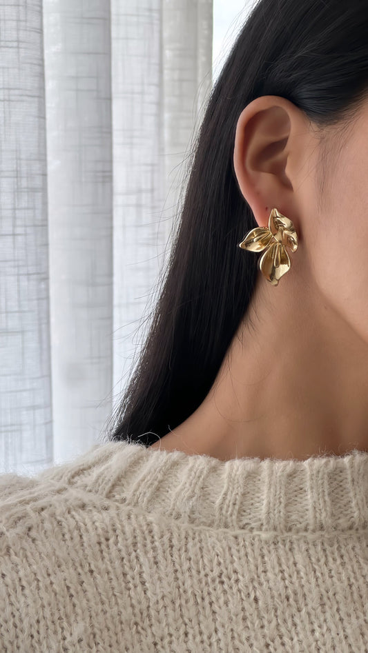Aretes
