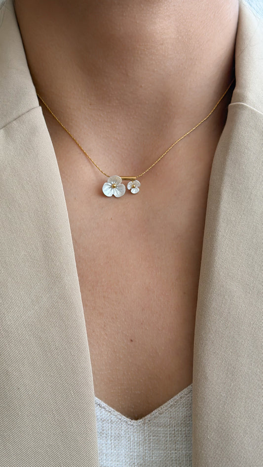 Orquídea
