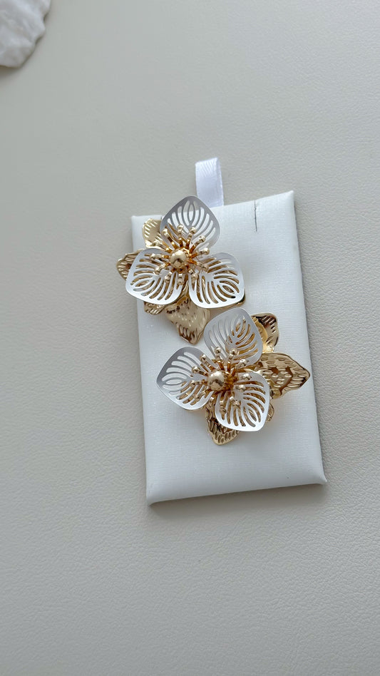Aretes matizados