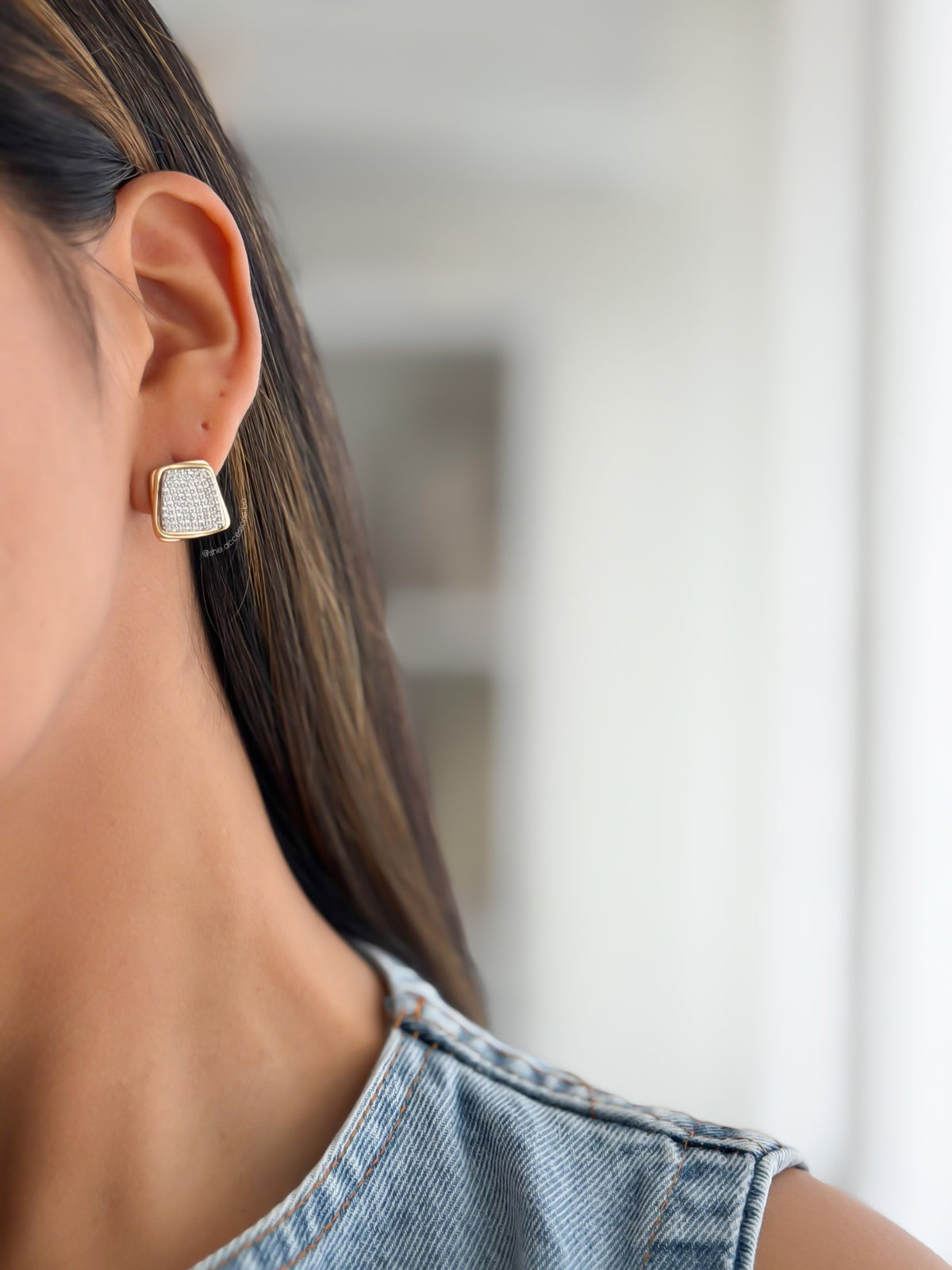 Aretes bicolor