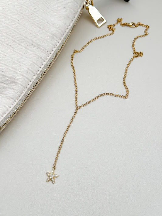Con caída estrella mar