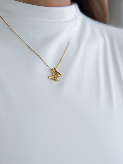 Mariposa