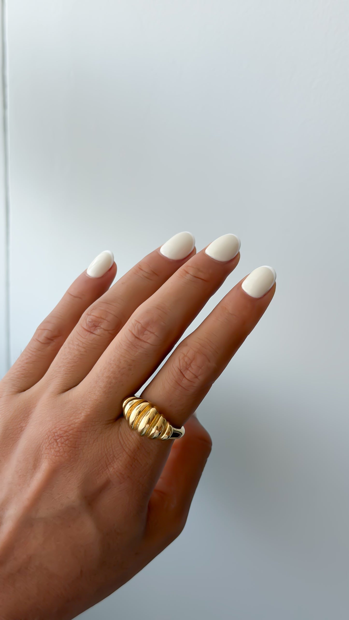 Anillo