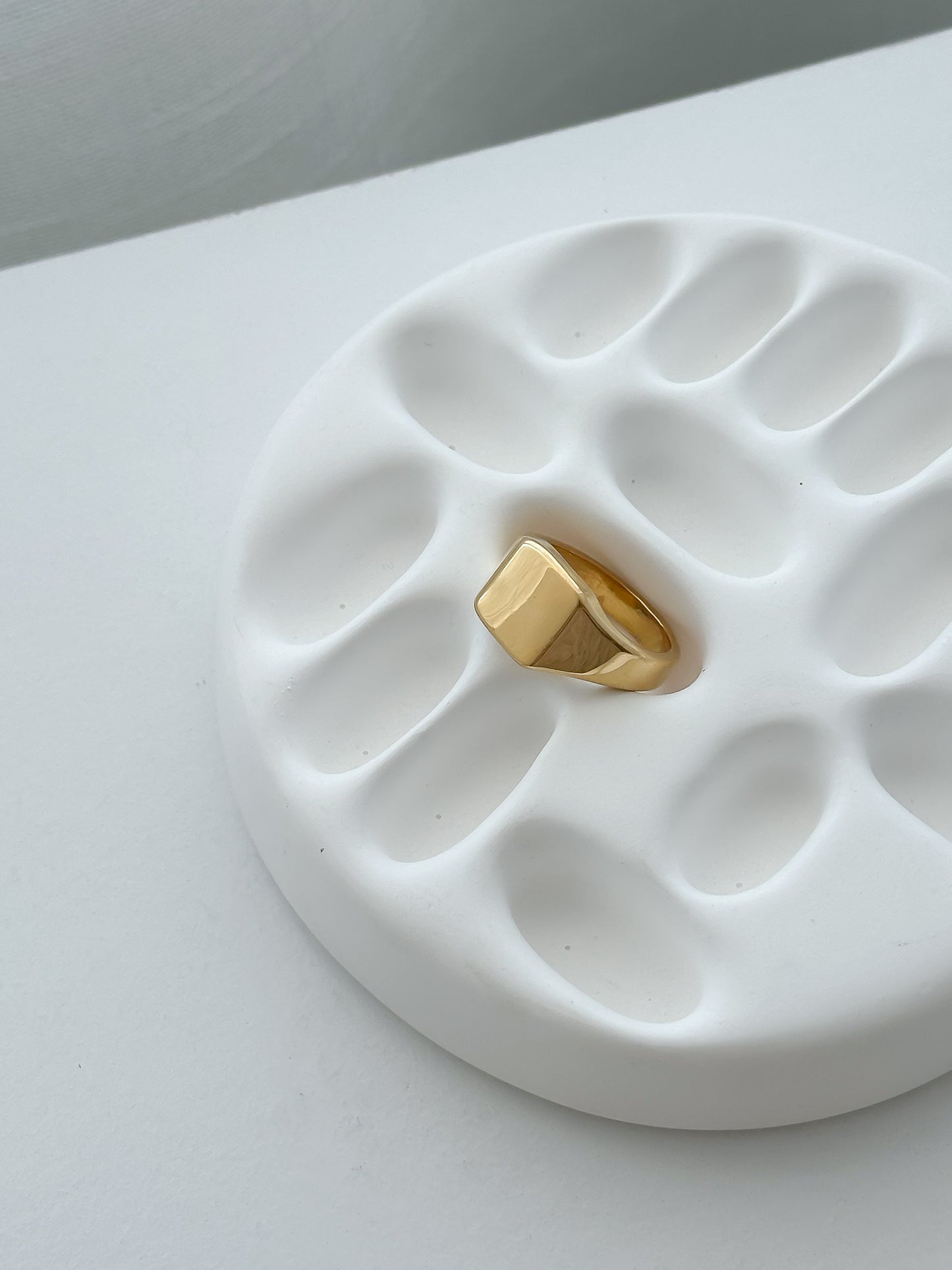 Anillos