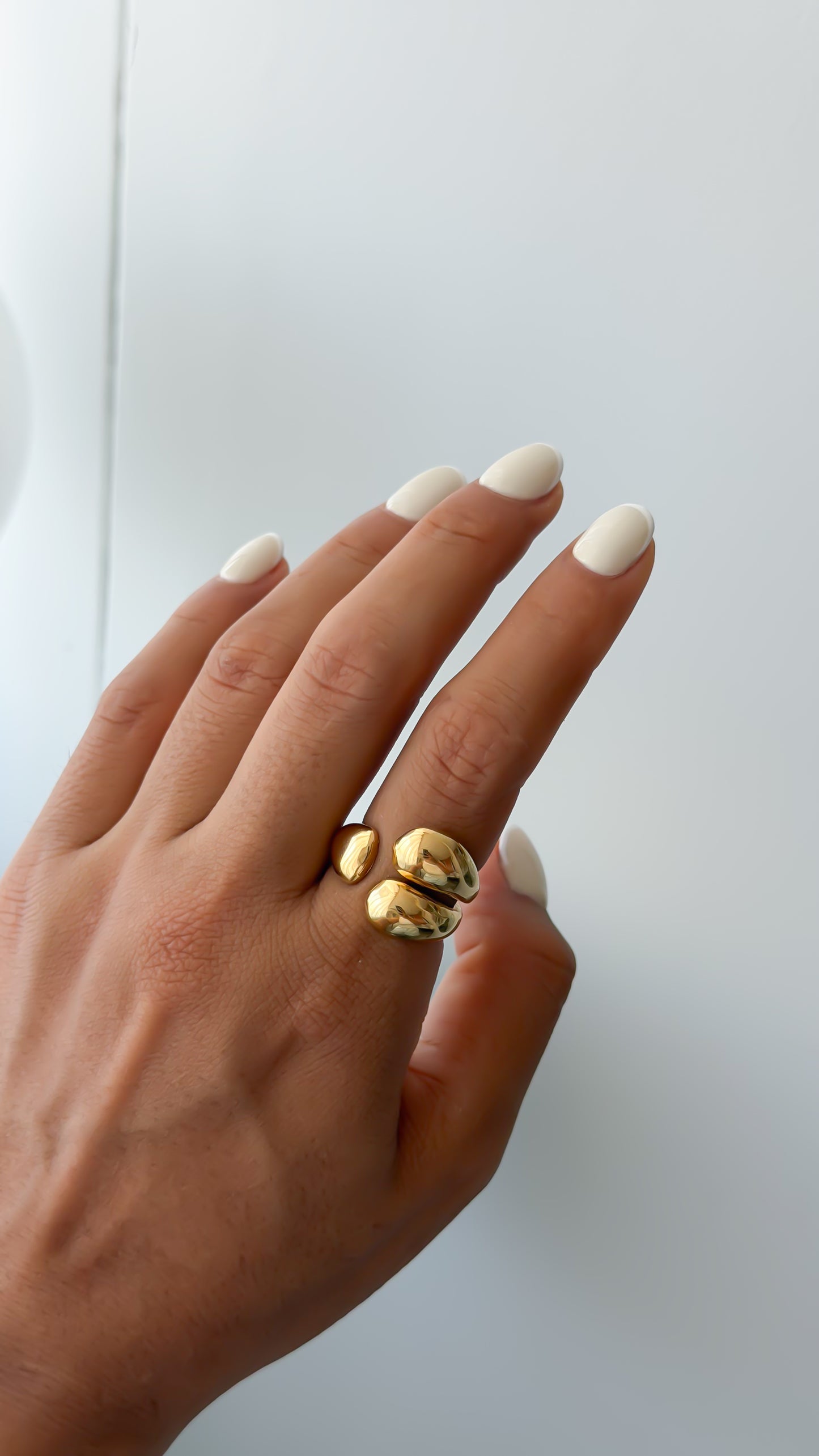 Anillo